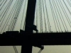 Mast Head Image